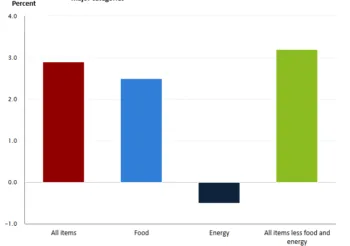 Il grafico, composto da quattro barre verticali colorate di rosso, azzurro, blu e verde, mostra l'inflazione annuale di diversi fattori, come il cibo e l'energia, e il dato core, depurato da questi due elementi