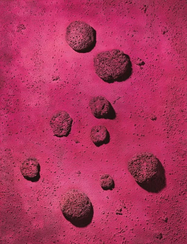 Le Rose du Bleu (RE 22) di Yves Klein