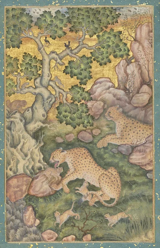 A Family of Cheetahs in a Rocky Landscape di Basawan