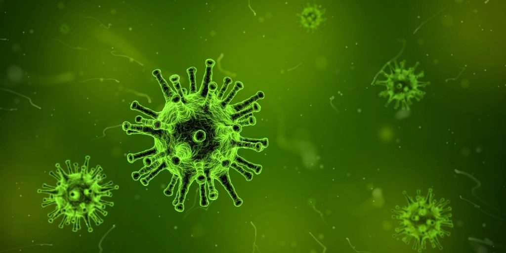 coronavirus
