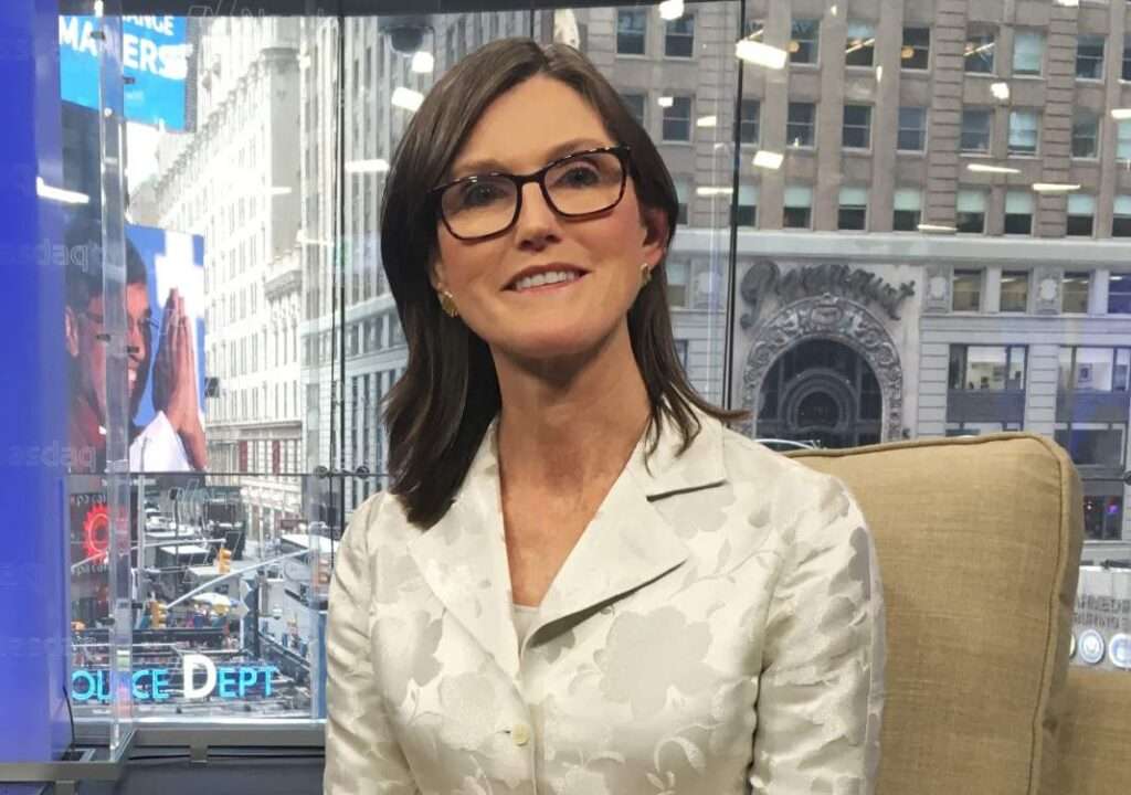 Wall Street: Cathie Wood acquista Twitter e Robinhood, ma scarica Tesla