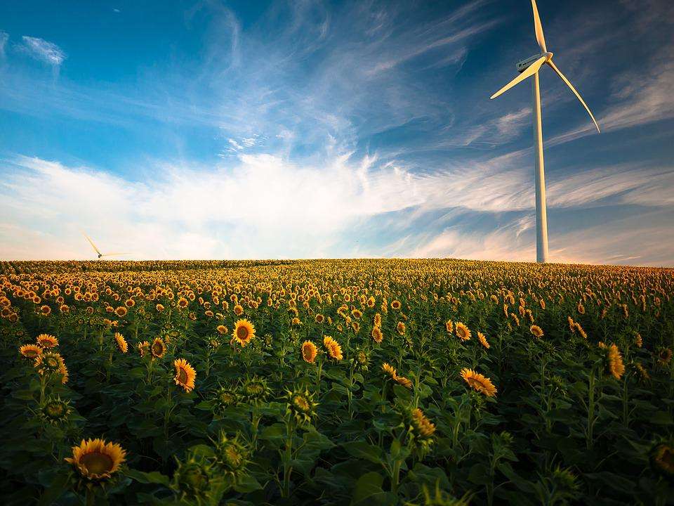 Fondi ESG: nel primo trimestre crollo dei flussi in Europa