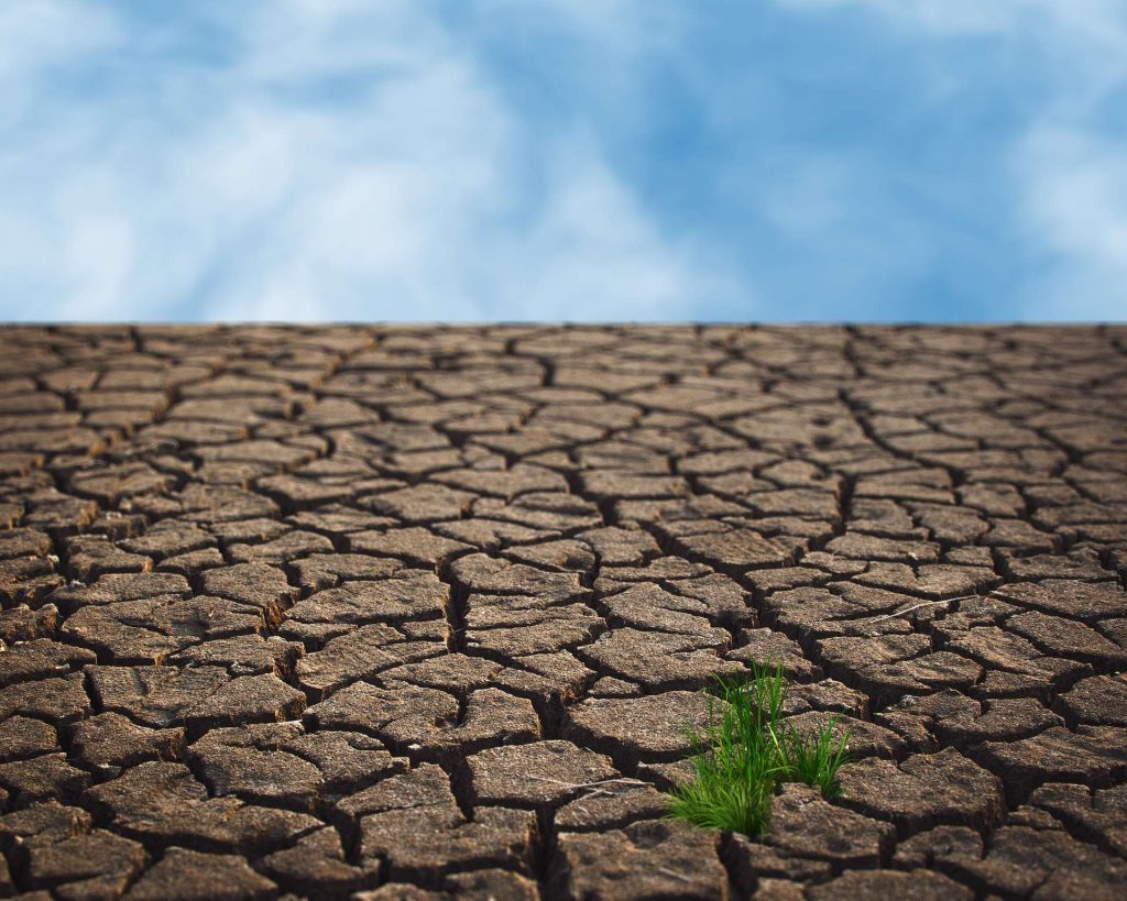 Siccità, investimenti per risolvere la scarsità d'acqua