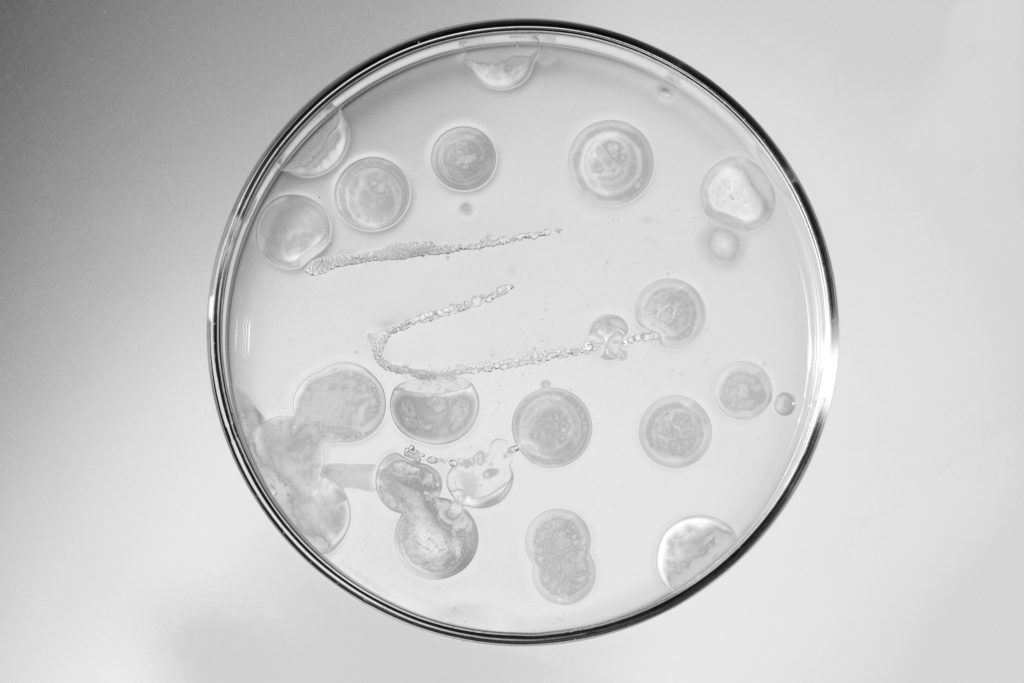 Possibili sviluppi interessanti da futuri M&A e tecnologia mRNA