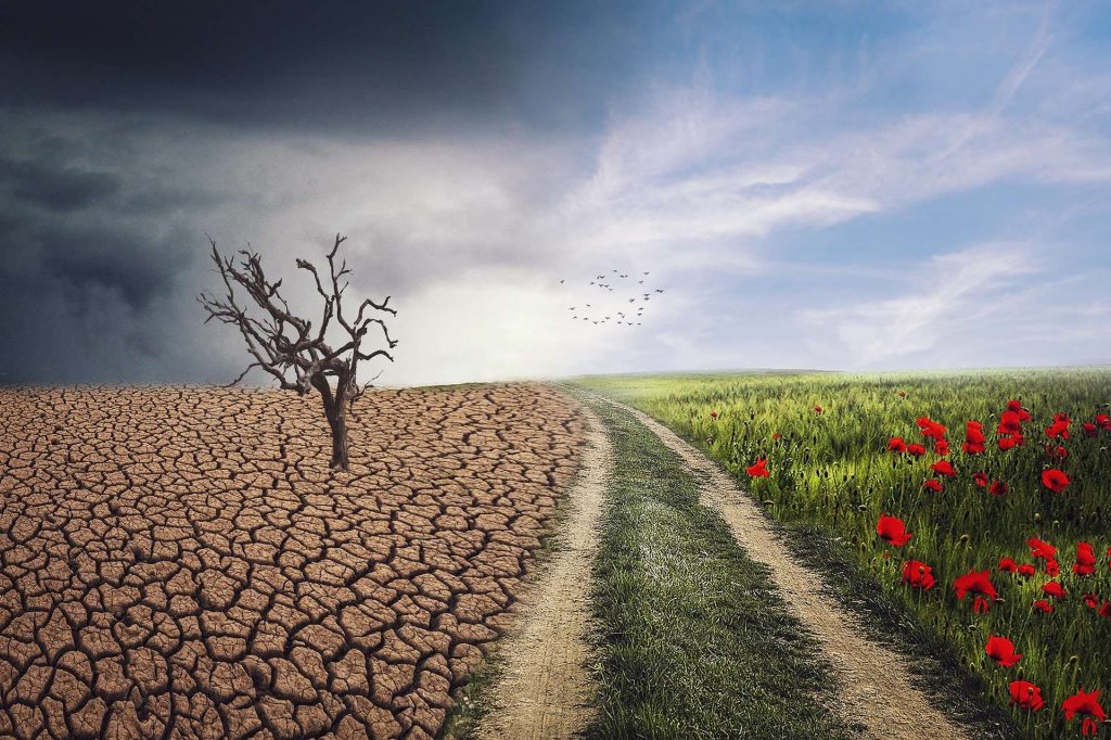 Cambiamento clima: settore assicurativo fondamentale per contrastarlo