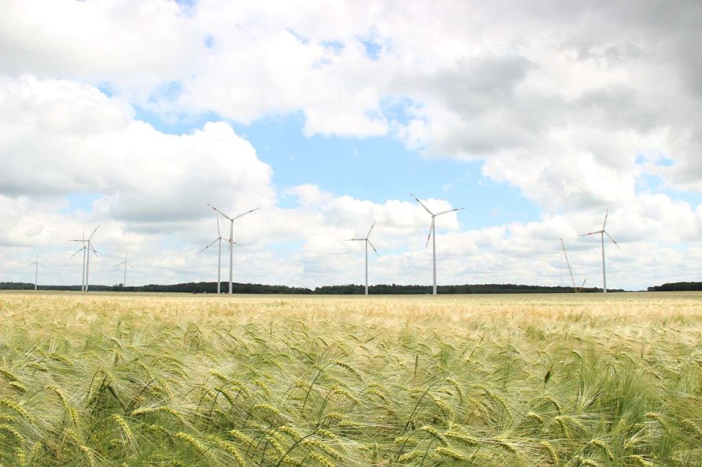 Campo grano, energia eolica