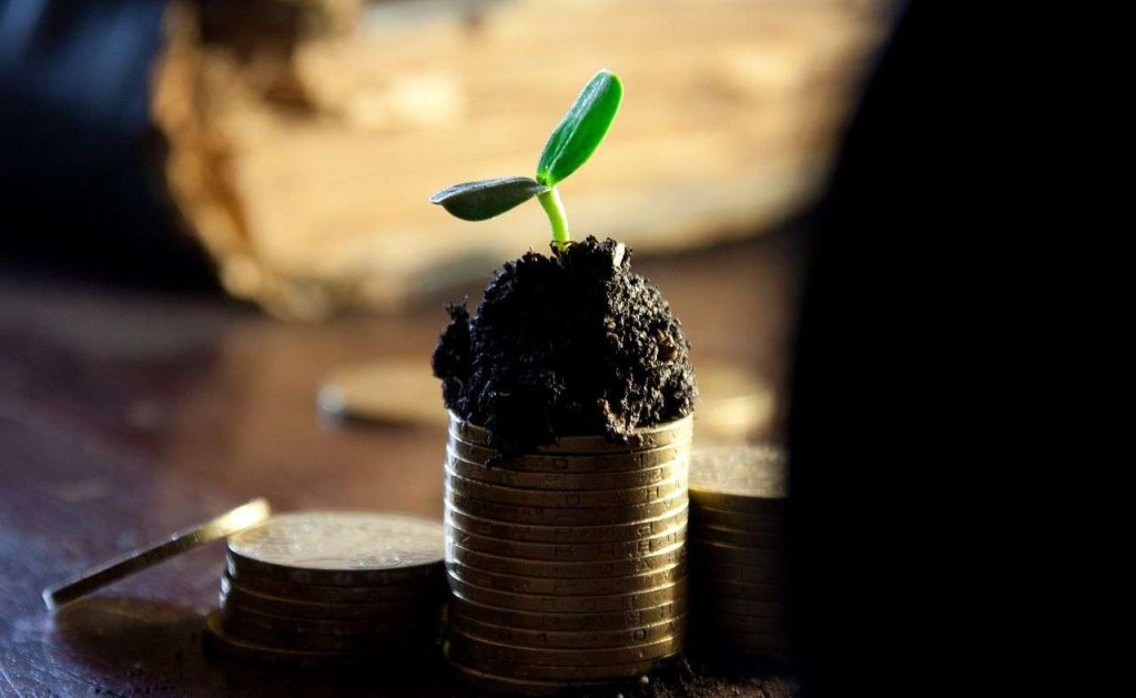 Dividendi e buyback a confronto: cosa conviene di più agli azionisti?