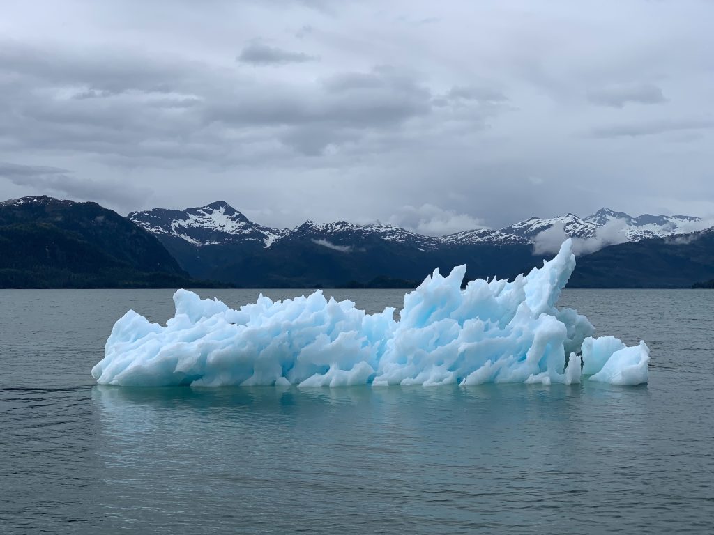 Un iceberg alla deriva nell'Oceano, un effetto del cambiamento climatico