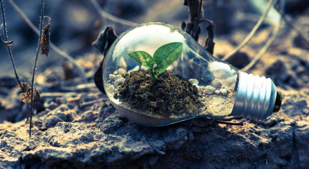 Obbligazioni sostenibili: ecco perché investirvi ora