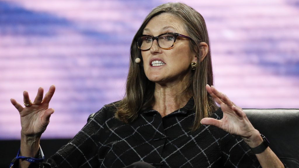 Cathie Wood non compra le azioni Arm, società sopravvalutata