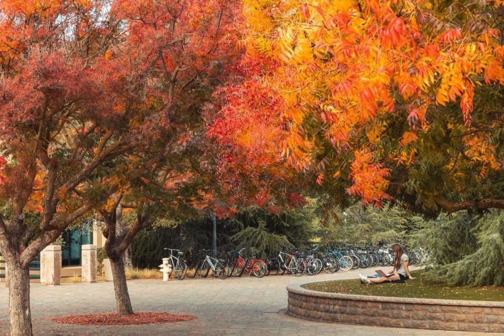 La Stanford University