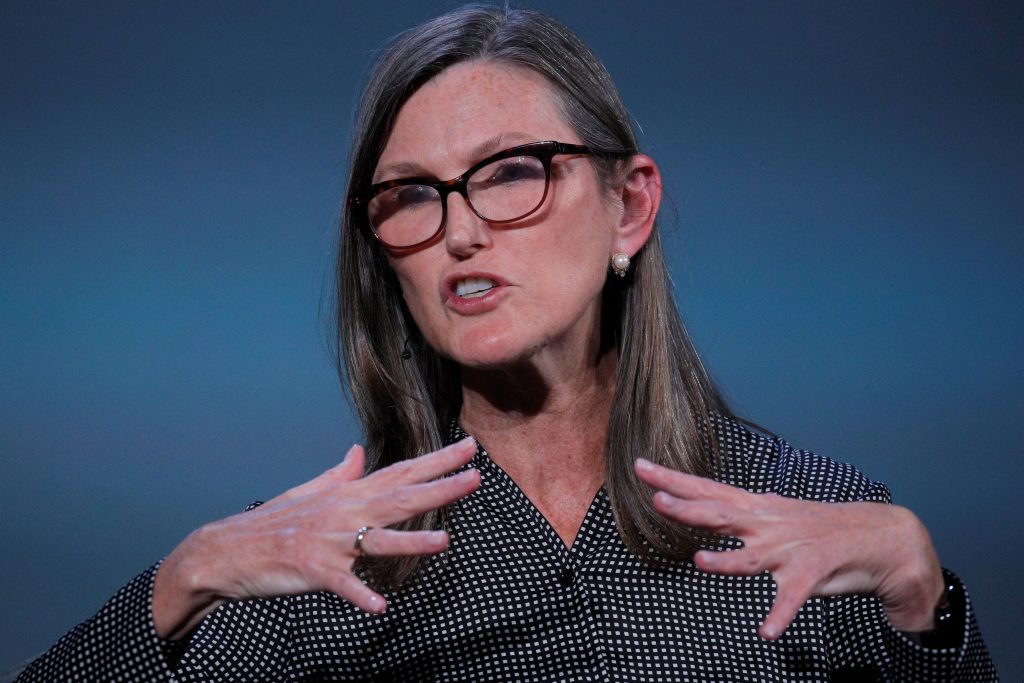 ETF Europa: per Cathie Wood un osso duro da affrontare