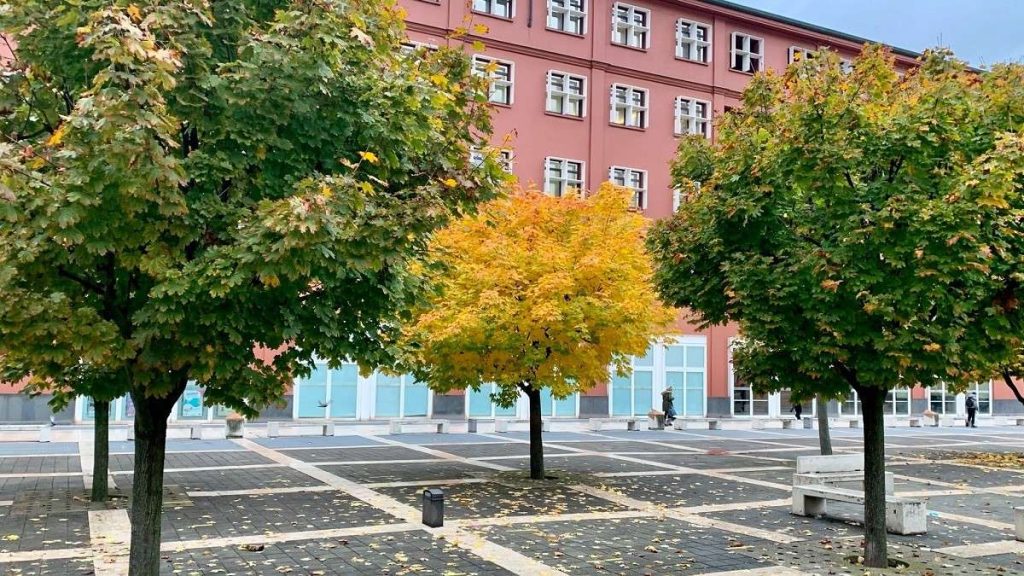 L'Università Bicocca di Milano