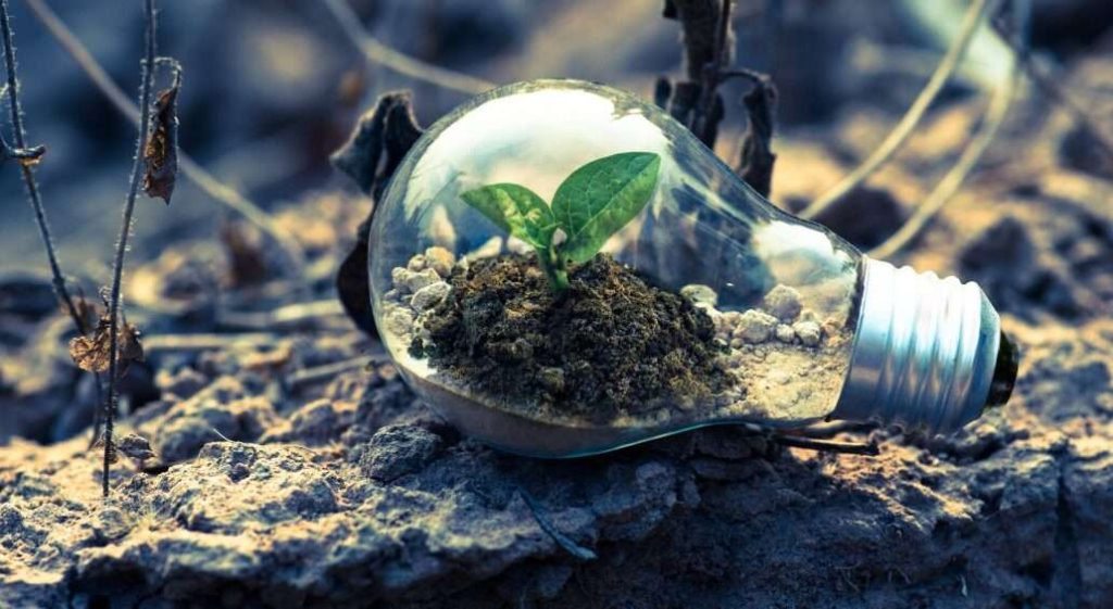 Una lampadina a incandescenza poggiata su un cumulo di terra. al suo interno un po' di terra e una piantina con due foglie.