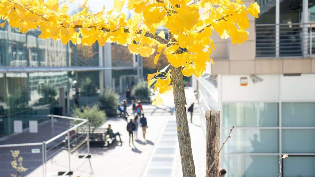 L'esterno di una delle sedi dell'Università di Trento