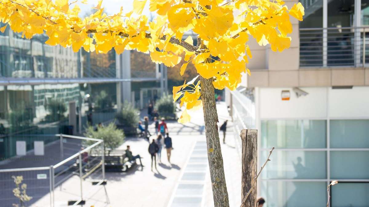 L'esterno di una delle sedi dell'Università di Trento
