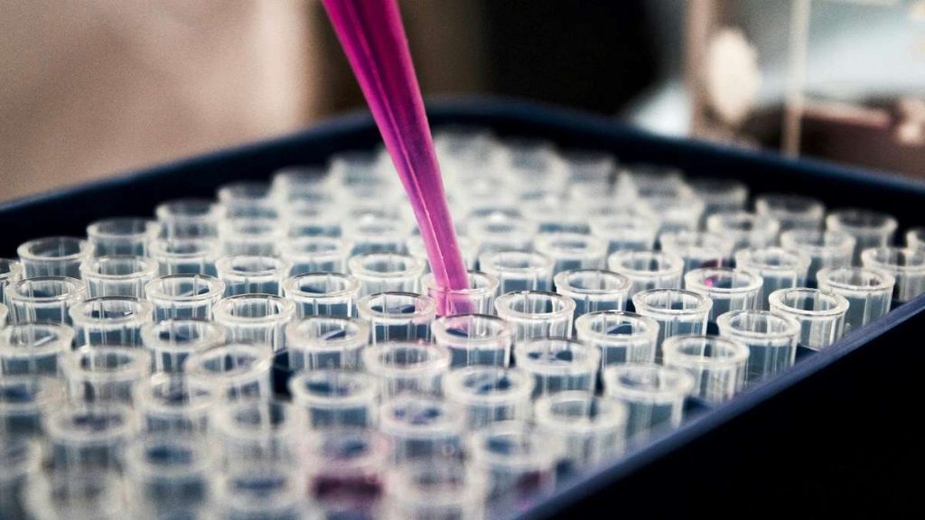 Una ricerca di laboratorio