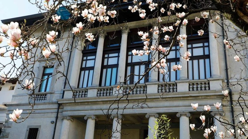 L'Università di Udine