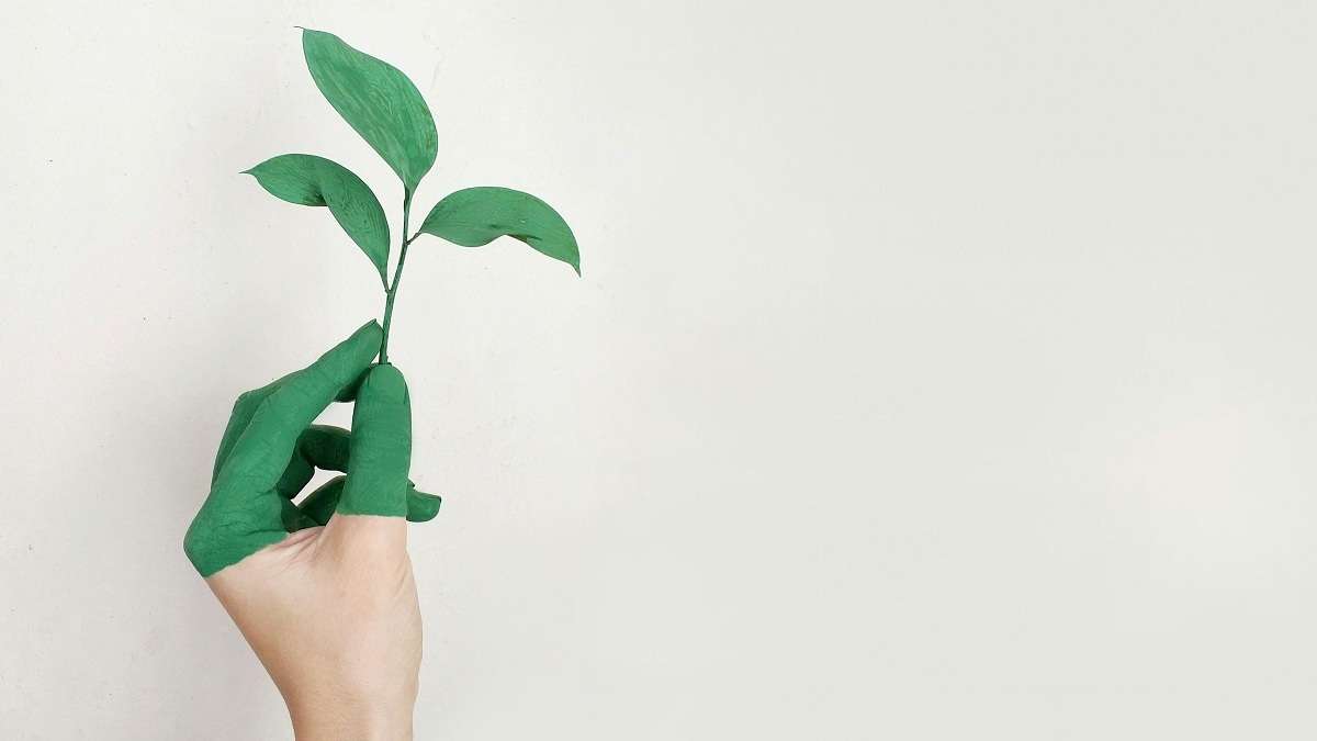 Una mano con una foglia che rappresenta il concetto di bioeconomia