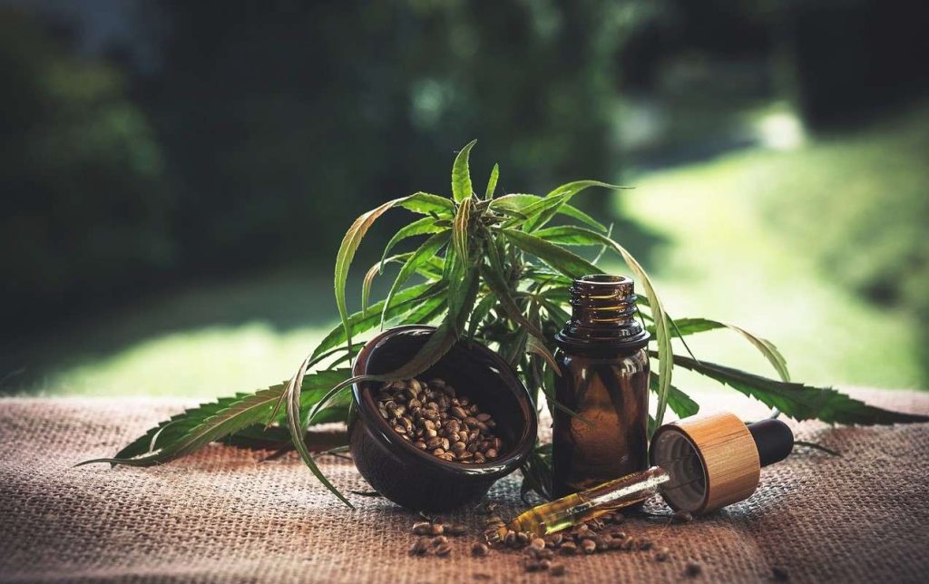 Cannabis: ecco 10 azioni per investire in Borsa