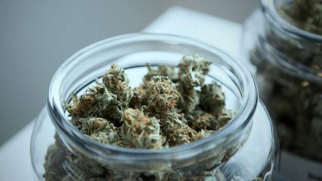Un barattolo di cannabis light