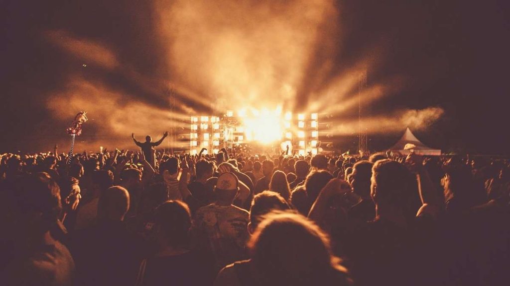 Il pubblico ad un concerto