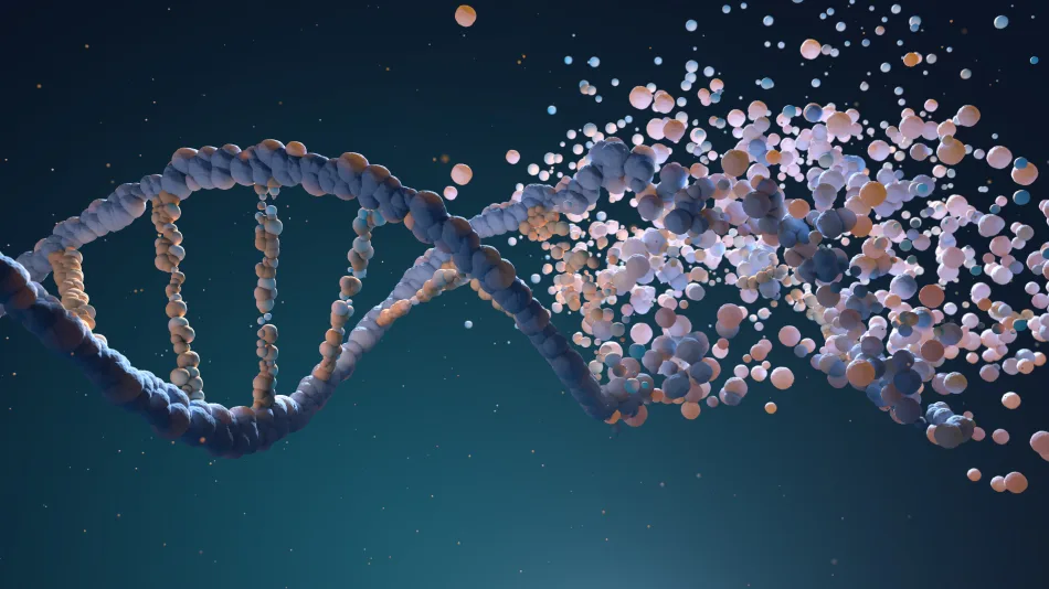 Una stringa di DNA si intreccia e trasforma in differenti elementi