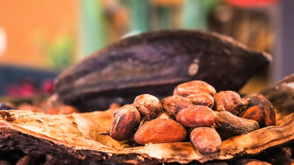 Cacao: ecco come gli hedge fund stanno influenzando il rally