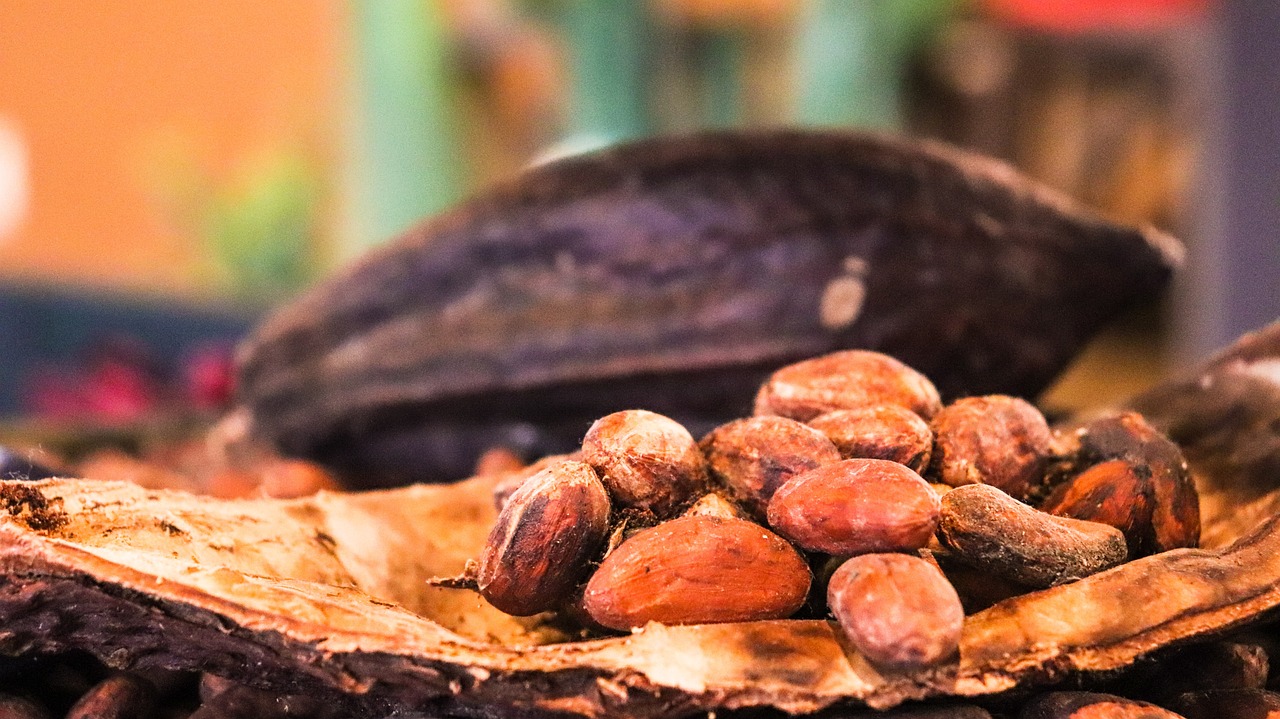 Immagine di fave di cacao