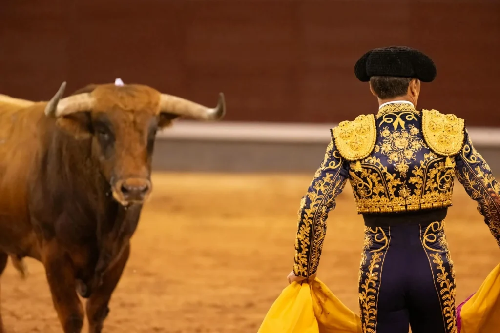 Cavalcare il toro italiano è la miglior scelta possibile