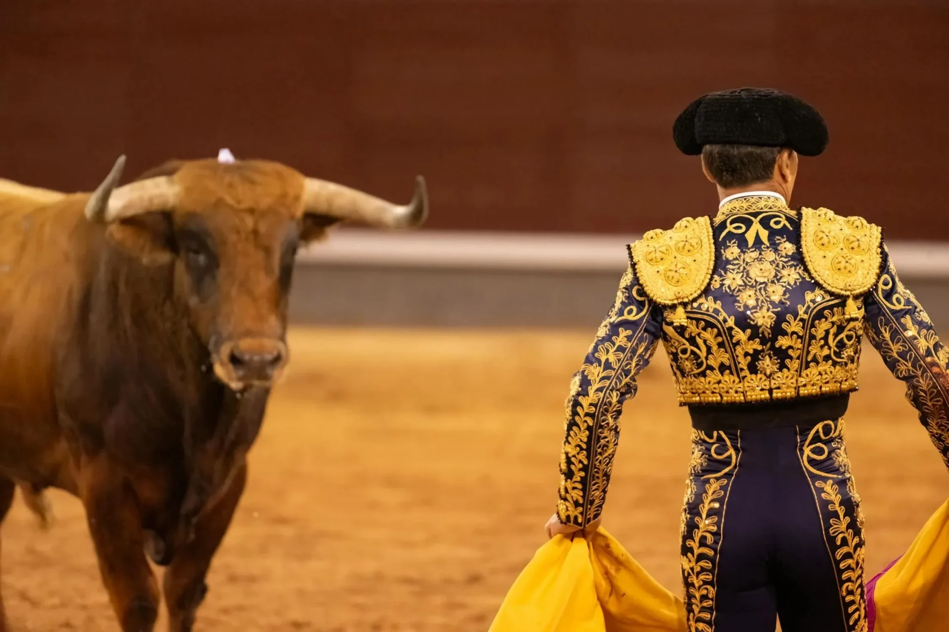 Cavalcare il toro italiano è la miglior scelta possibile