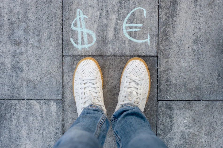 Scelta tra euro e dollaro