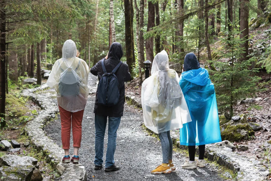 Quattro persone, di spalle, indossano degli impermeabili leggeri, mentre camminano su un sentiero che si inoltra nel bosco.
