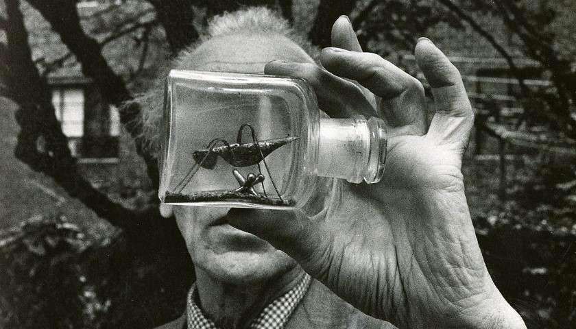 Joseph Cornell