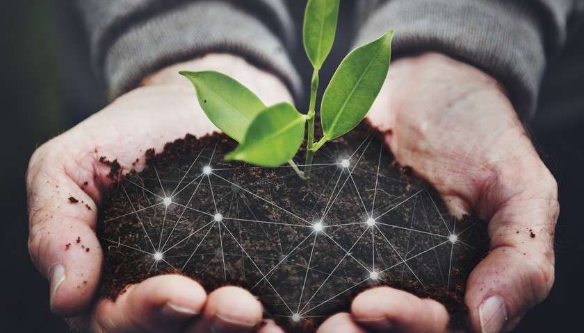 Le mani di un imprenditore dell'agrifoodtech italiano tengono della terra