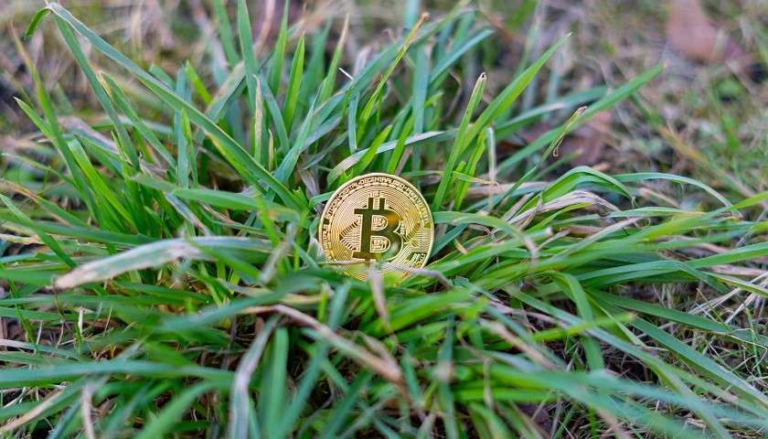Un token Bitcoin tra l'erba