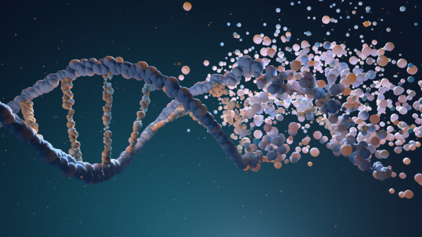 Un'elaborazione grafica di una catena di DNA che si scompone in numerose molecole