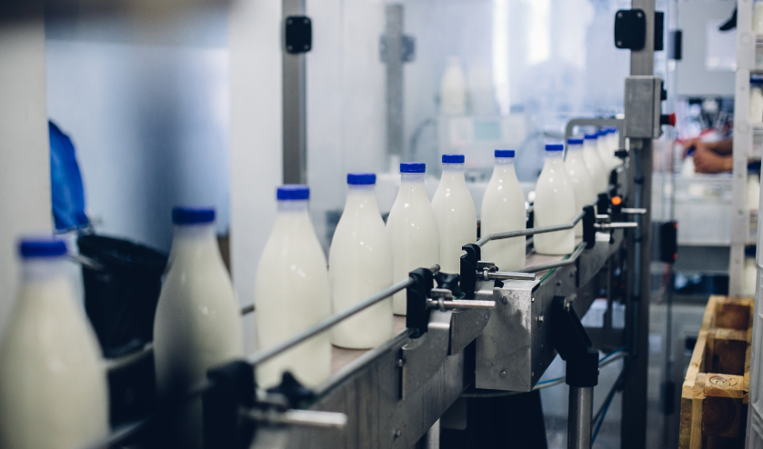 Impianto produzione latte, bottiglie piene allineate sulla catena di trasporto