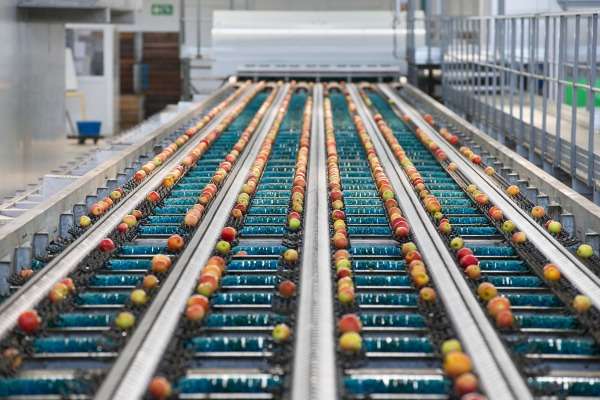 Impianto di trattamento della frutta, produzione di mele
