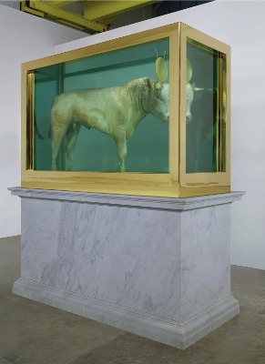 The Golden Calf di Damien Hirst - Fonte foto: Sotheby's
